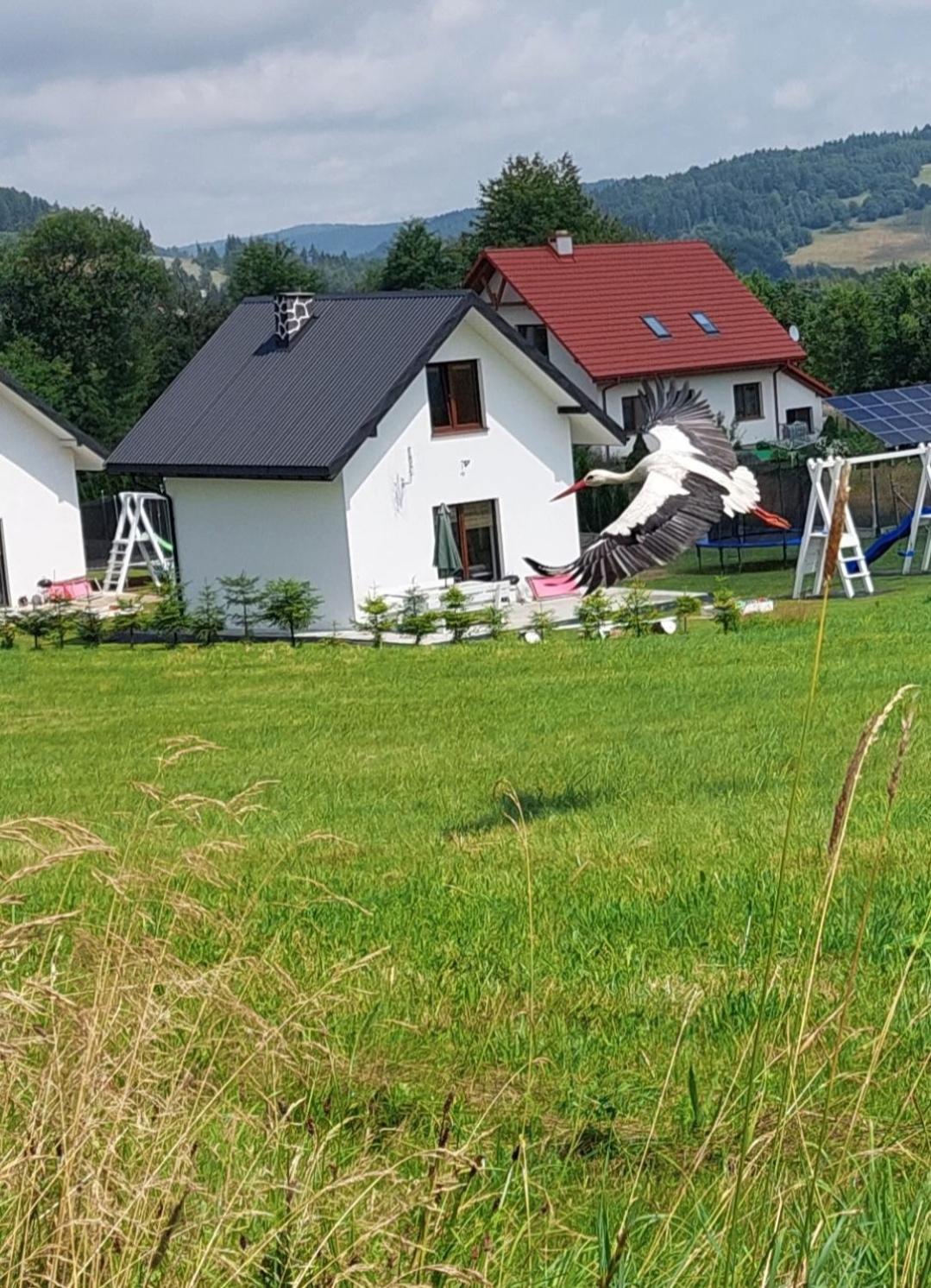 Domek Pod Holica 2 Bieszczady Ustrzyki Dolne Exterior foto